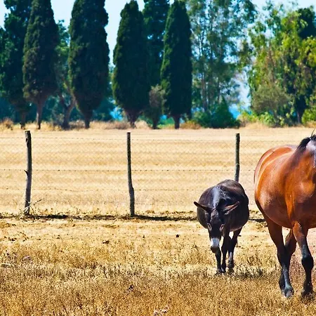 Podere Del Gesso * Tarquinia